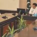 فیصل آباد میں روزانہ 85 ہزار کم قیمت والا 10 کلو آٹے کا تھیلا دستیاب ہوگا۔ ڈپٹی کمشنر