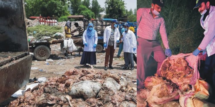 پنجاب فوڈ اتھارٹی کی فیصل آباد میں کاروائی 1600 کلو مردہ مرغیاں تلف