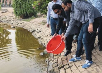 انسداد ڈینگی مہم، تالابوں میں تلاپیہ مچھلیاں چھوڑنے کا سلسلہ جاری