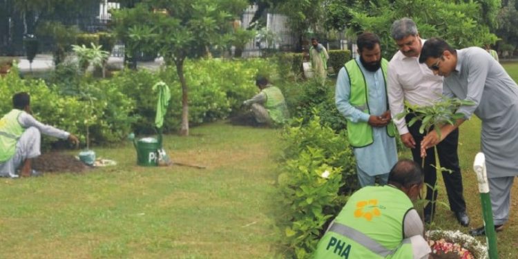 ڈپٹی کمشنر نے PHA کے زیر اہتمام باغ جناح میں پودا لگا کر مون سون شجرکاری مہم کا افتتاح کردیا