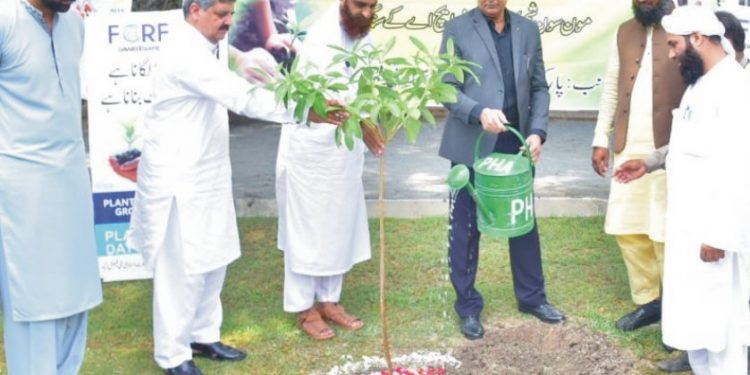فیضان گلوبل ریلیف فاونڈیشن کے زیراہتمام جناح باغ میں پودے لگائے گئے