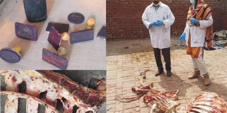 فوڈ اتھارٹی کا چھاپہ لمپی سکن بیماری میں مبتلا جانوروں کا گوشت تلف کردیا