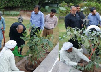 نبیﷺ نے درخت لگانے کا حکم دیا ہے. سی ای او فیسکو