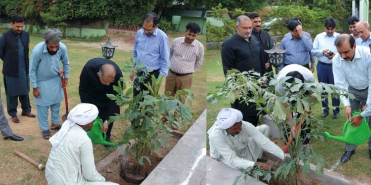 نبیﷺ نے درخت لگانے کا حکم دیا ہے. سی ای او فیسکو