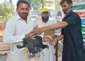 محکمہ لائیو سٹاک کی طرف سے ضلع چنیوٹ کے درخواست گزاروں میں 90 پولٹری یونٹس تقسیم