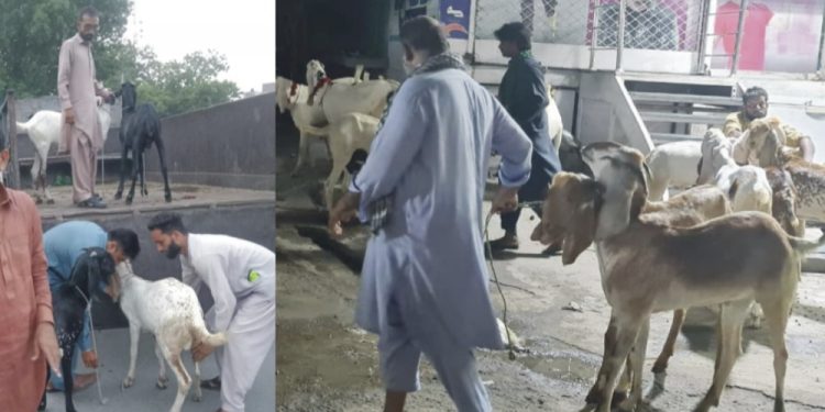 چیف سیکرٹری پنجاب کا غیرقانونی منڈیوں کو ختم کروانے کا حکم