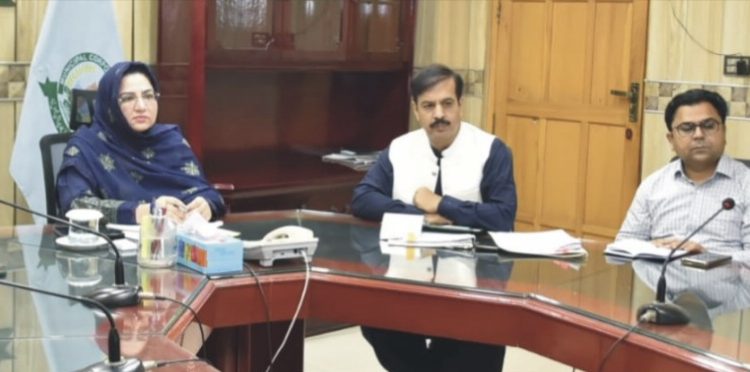 گرین بیلٹس اور پارکس کی تزئین وبحالی اورصفائی وخوبصورتی کے لئے نیا ٹارگٹ