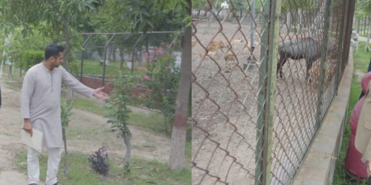 گٹ والا میں بڑا چڑیا گھر بنانے کی خوشخبری