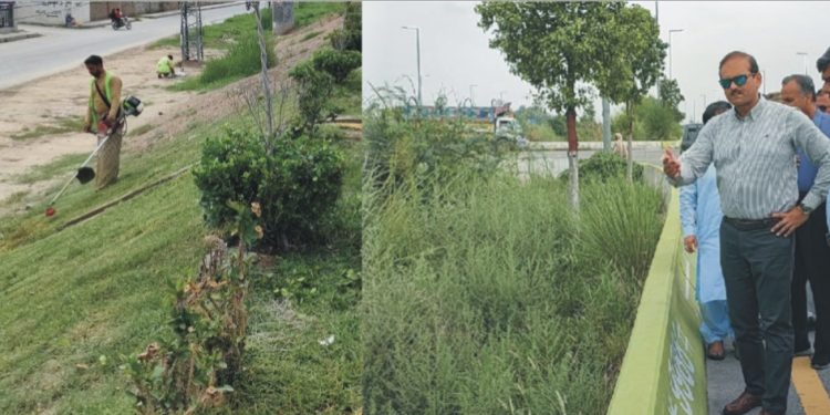 شہر کو خوبصورت بنانے کے پروجیکٹ پر تیزی سے کام جاری